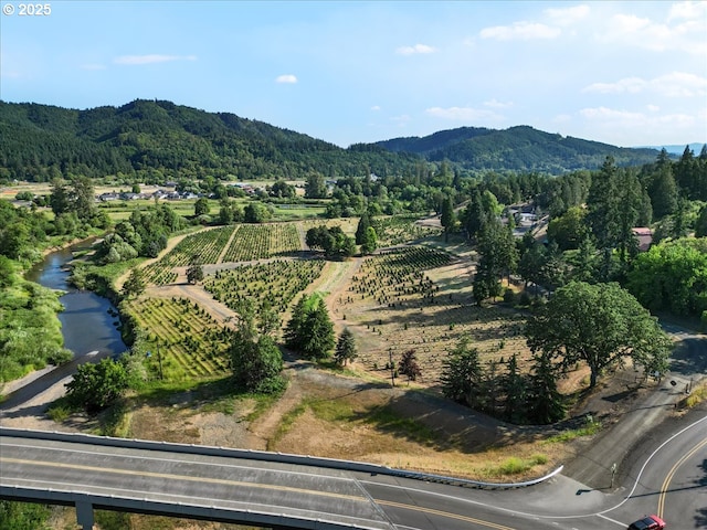 106 Green Valley Rd, Oakland, OR 97462 - view of mountain background featuring a large body of water and rural landscape