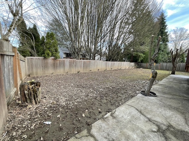 view of yard featuring a fenced backyard and a patio