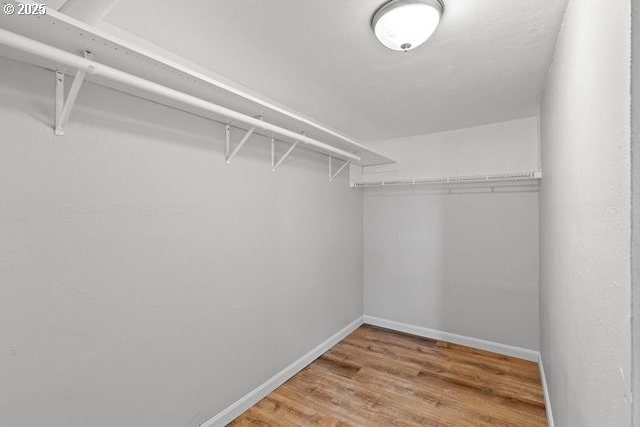 561 E Ridgeway Ave, Hermiston, OR 97838 - walk in closet featuring wood finished floors