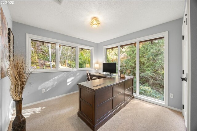 office space featuring baseboards, light carpet, and a healthy amount of sunlight