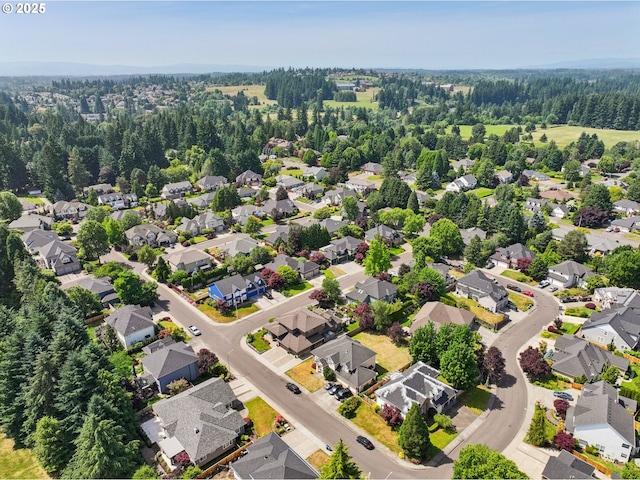 4706 NE 137th St, Vancouver, WA 98686 - aerial perspective of suburban area with a forest