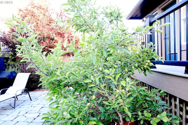 4706 NE 137th St, Vancouver, WA 98686 - view of patio / terrace