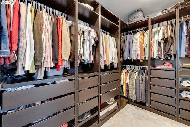 view of spacious closet