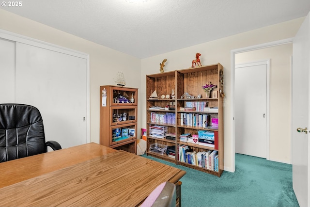 office space featuring carpet