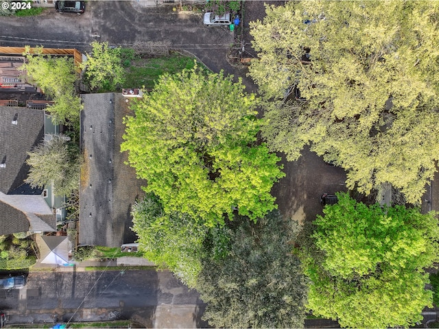 3103/3109 SE 6th Ave, Portland, OR 97202 - birds eye view of property