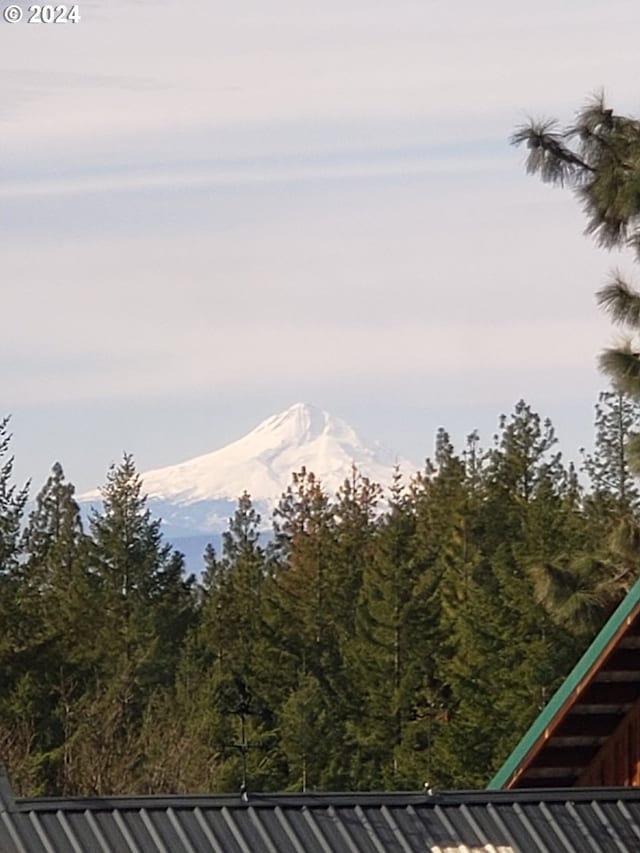 11 Deer Ridge Rd, Goldendale, WA 98620 - mountain view