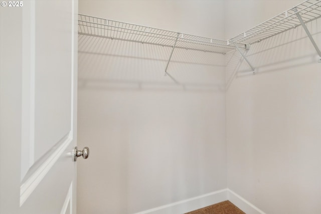 view of walk in closet