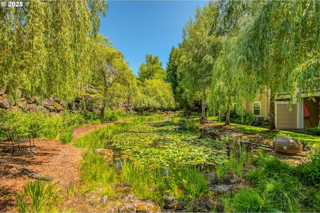 4630 Summerlinn Way W, Linn, OR 97068 - view of nature