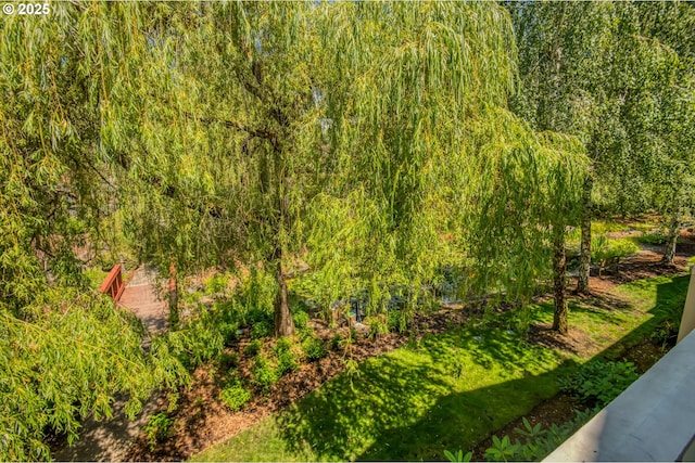 4630 Summerlinn Way W, Linn, OR 97068 - view of yard