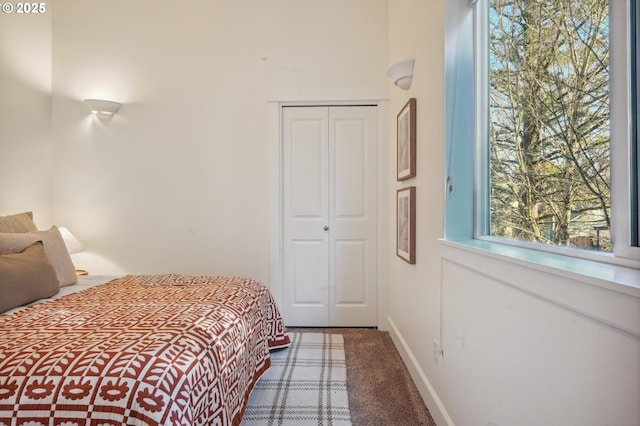 bedroom featuring carpet and a closet