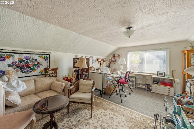 interior space featuring vaulted ceiling and a textured ceiling