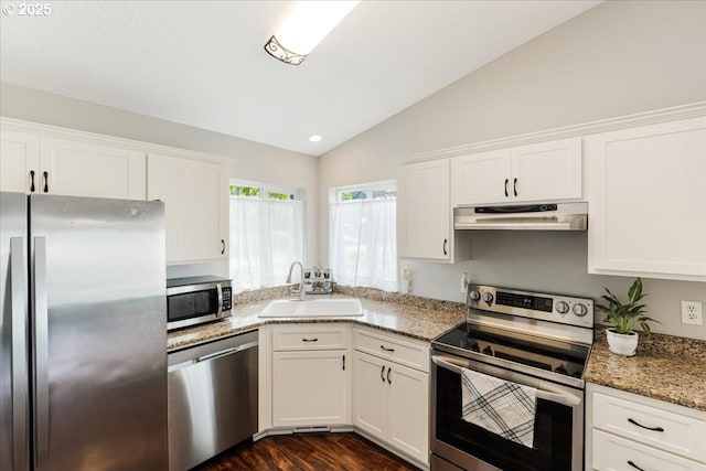 kitchen with appliances with stainless steel finishes, a sink, lofted ceiling, dark wood-type flooring, and under cabinet range hood