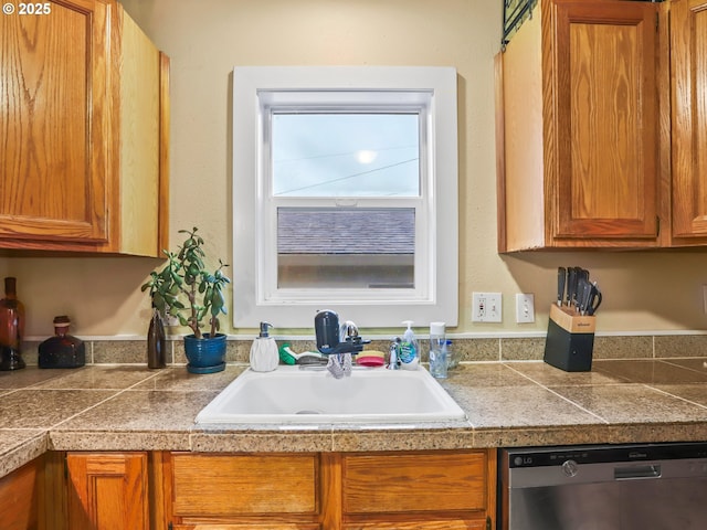 kitchen featuring stainless steel dishwasher and sink