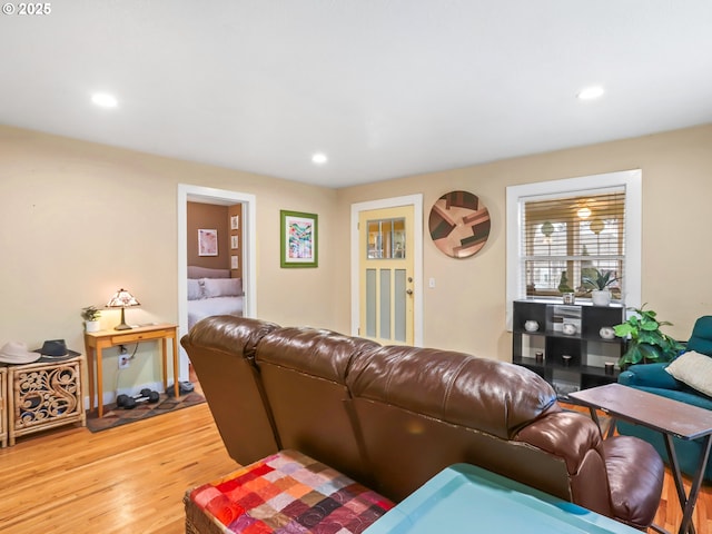 living room with wood-type flooring