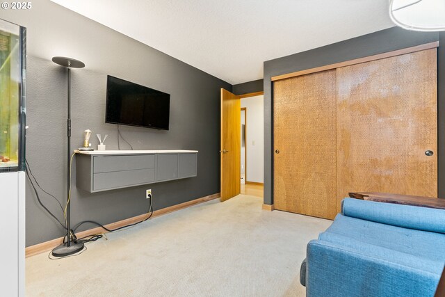 sitting room featuring carpet flooring
