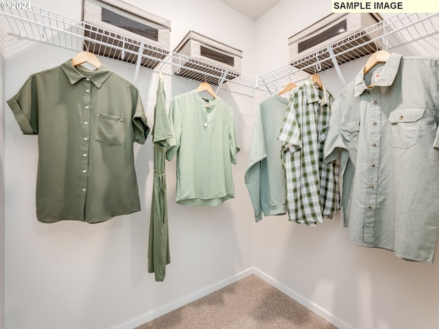 spacious closet with carpet