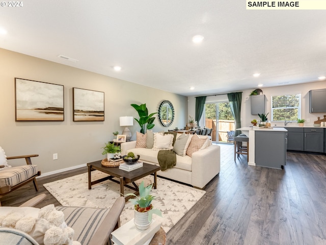 living room featuring dark wood-type flooring