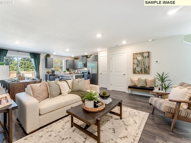 living room with a textured ceiling and dark hardwood / wood-style floors