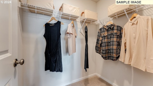 spacious closet with carpet floors