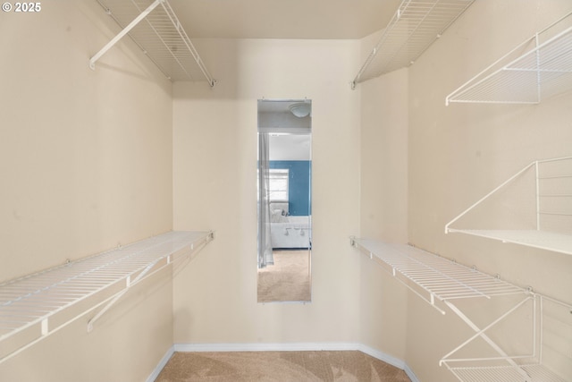 1601 NW 2nd Ave, Battle Ground, WA 98604 - walk in closet featuring carpet