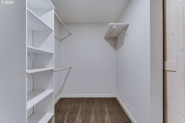 85160 Larson Rd, Eugene, OR 97405 - spacious closet with carpet
