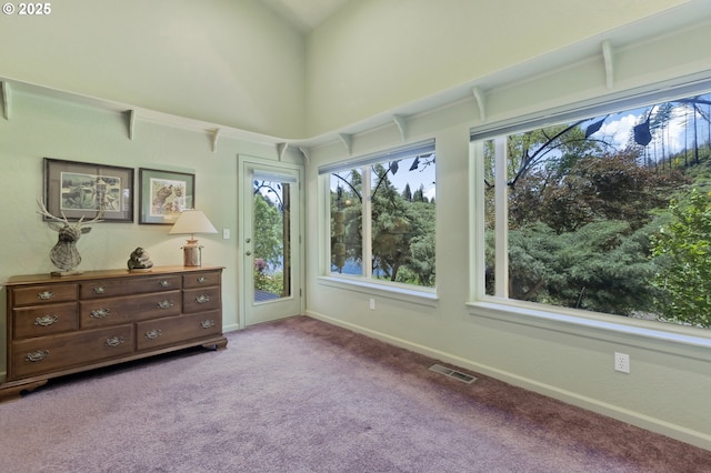 91060 Leashore Dr, Vida, OR 97488 - bedroom with carpet flooring, baseboards, and a high ceiling