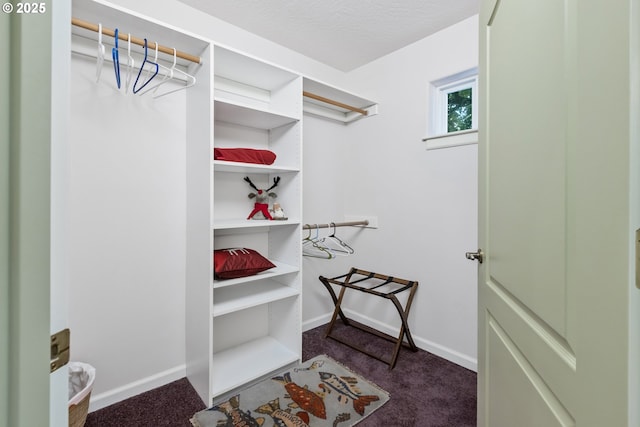 91060 Leashore Dr, Vida, OR 97488 - spacious closet with dark carpet