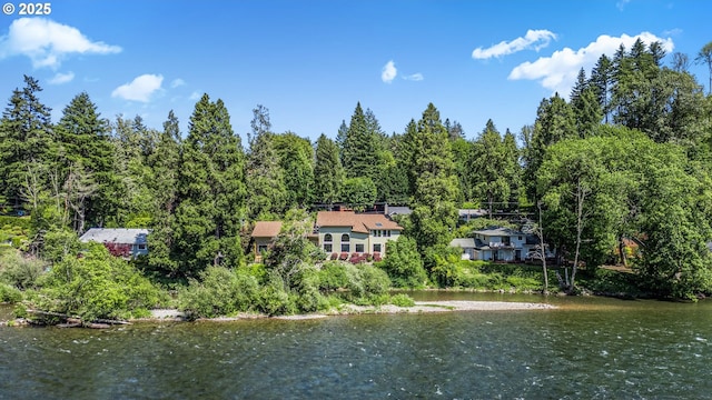 91060 Leashore Dr, Vida, OR 97488 - water view