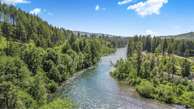 91060 Leashore Dr, Vida, OR 97488 - water view featuring a heavily wooded area and a mountainous background