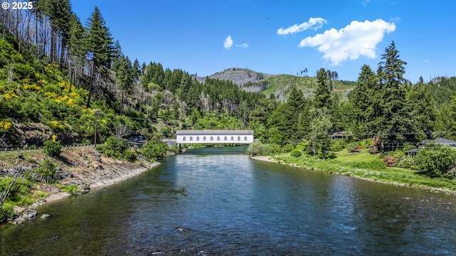 91060 Leashore Dr, Vida, OR 97488 - water view with a mountain backdrop and a heavily wooded area