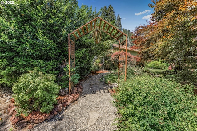 91060 Leashore Dr, Vida, OR 97488 - view of yard