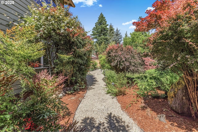 91060 Leashore Dr, Vida, OR 97488 - view of yard