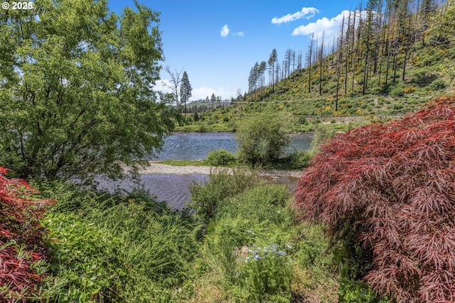 91060 Leashore Dr, Vida, OR 97488 - water view