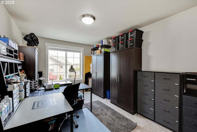 office area featuring light carpet