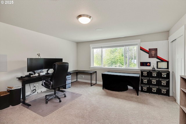 office area featuring baseboards and carpet flooring