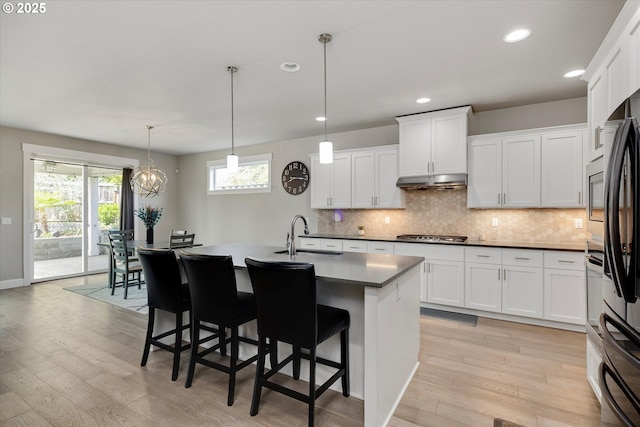 kitchen featuring backsplash, light wood-type flooring, a sink, under cabinet range hood, and stainless steel appliances
