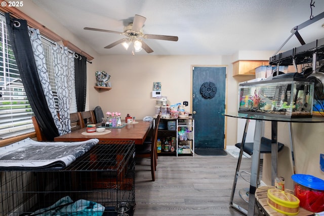 638 SE Polk St, Camas, WA 98607 - dining room with wood finished floors and ceiling fan