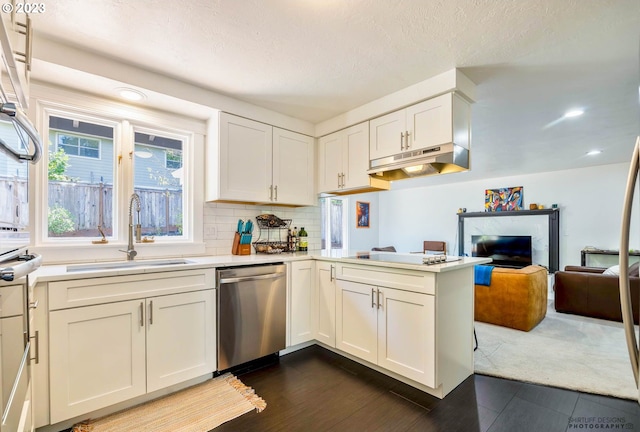 2022 Floral Hill Dr, Eugene, OR 97403 - kitchen featuring stainless steel appliances, a sink, under cabinet range hood, light countertops, and tasteful backsplash