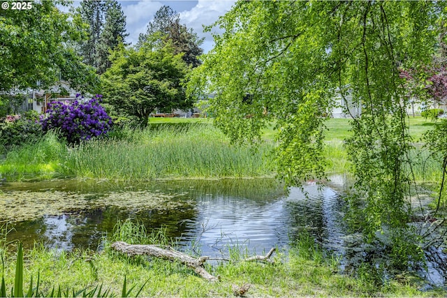40211 Deerhorn Rd, Springfield, OR 97478 - water view
