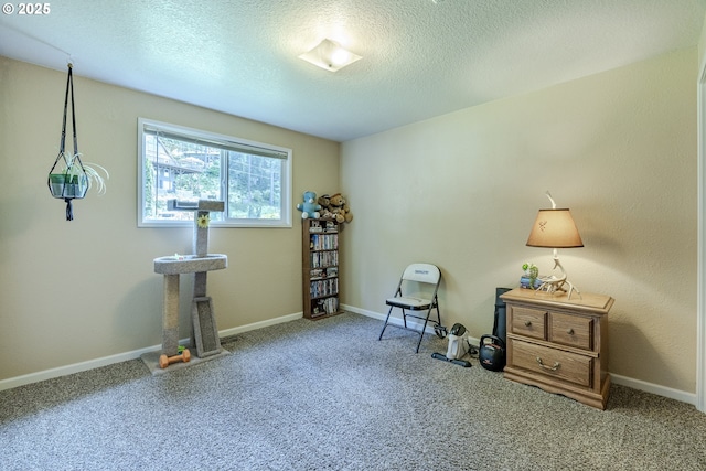 40211 Deerhorn Rd, Springfield, OR 97478 - sitting room with carpet flooring, a textured ceiling, and baseboards