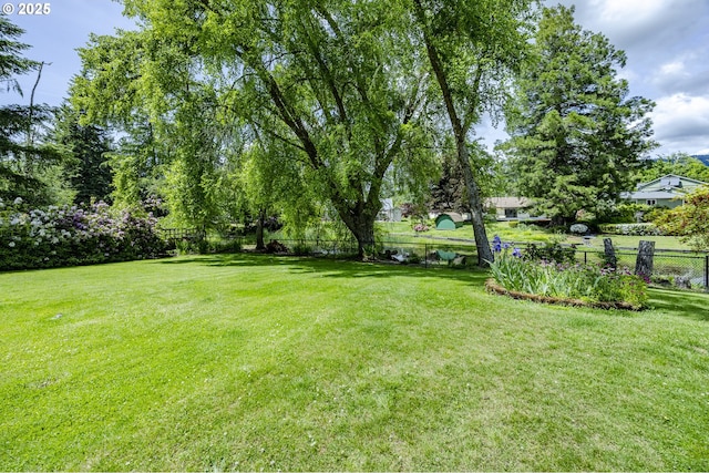 40211 Deerhorn Rd, Springfield, OR 97478 - view of yard