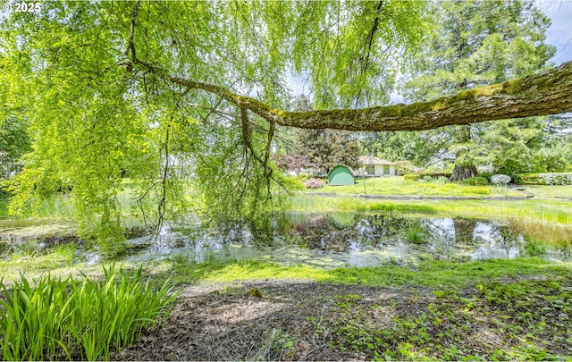 40211 Deerhorn Rd, Springfield, OR 97478 - view of yard featuring a water view