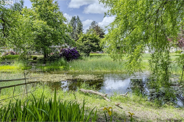 40211 Deerhorn Rd, Springfield, OR 97478 - water view