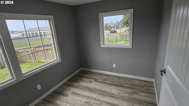 unfurnished room featuring a wealth of natural light and wood-type flooring