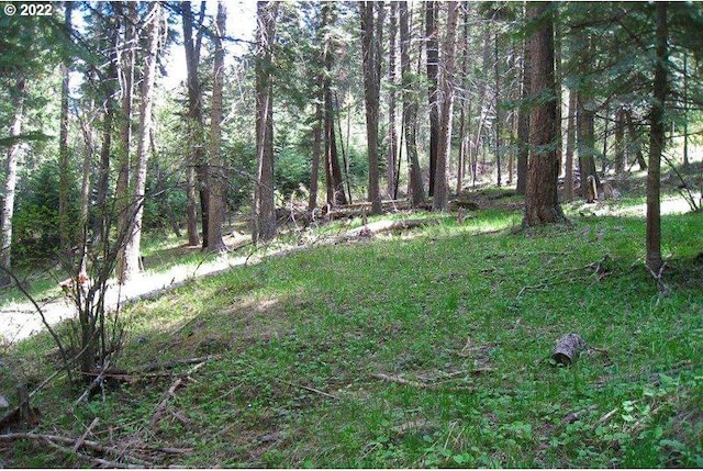 0 Tram Ln, Wallowa Lake OR, 97846 land for sale