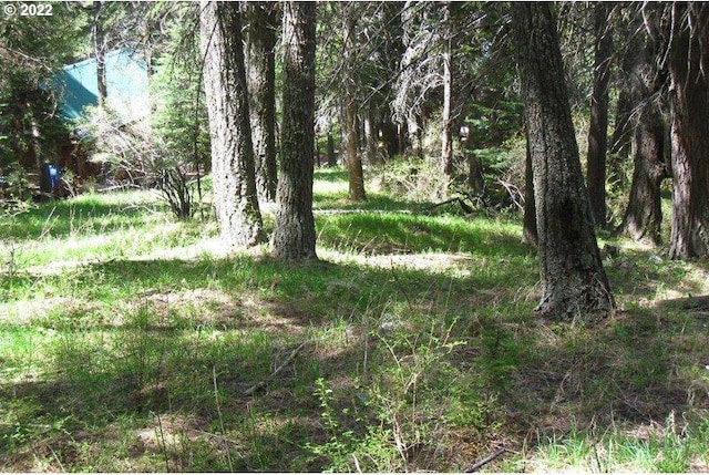 Listing photo 2 for 0 Tram Ln, Wallowa Lake OR 97846