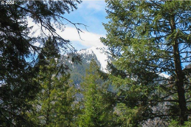 Listing photo 3 for 0 Tram Ln, Wallowa Lake OR 97846