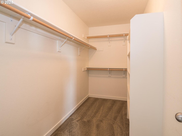 walk in closet with dark colored carpet