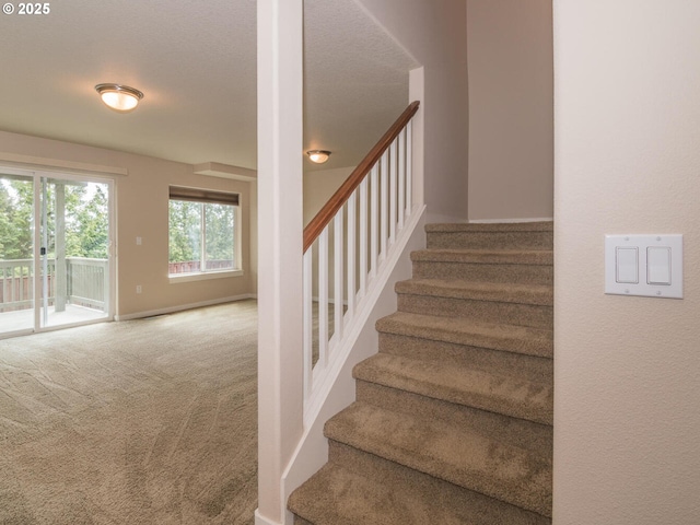 stairway with carpet floors