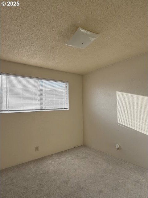 carpeted empty room with a textured ceiling